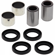 WRP 21-1008-2 Shock Bearing Kit