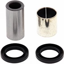 WRP 21-1011 Shock Bearing Kit