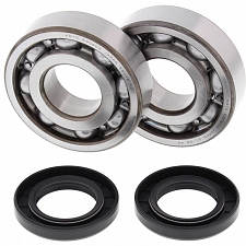 WRP 24-1011 Crank Shaft Bearing & Seal Kit