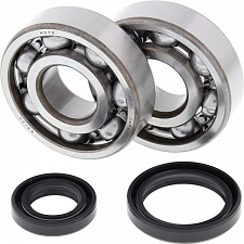 WRP 24-1016 Crank Shaft Bearing & Seal Kit