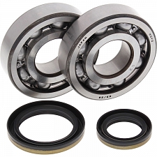WRP 24-1021 Crank Shaft Bearing & Seal Kit