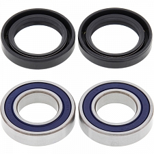 All Balls 25-1092 Wheel Bearing & Seal Kit
