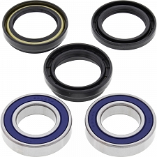 All Balls 25-1108 Wheel Bearing & Seal Kit