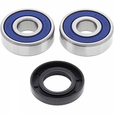 All Balls 25-1309 Wheel Bearing Kit