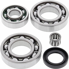 WRP 25-2018 Differential Bearing & Seal Kit