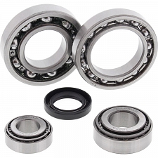 WRP 25-2019 Differential Bearing & Seal Kit