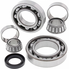 WRP 25-2038 Differential Bearing & Seal Kit