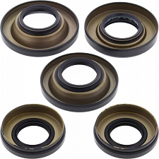 WRP 25-2047-5 Differential Seal Kit