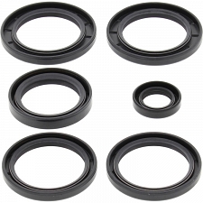WRP 25-2062-5 Differential Seal Kit