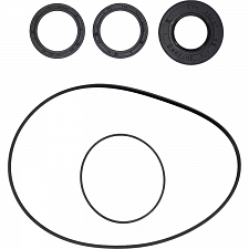 WRP 25-2152-5 Differential Seal Only Kit