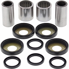 WRP 28-1035 Swing Arm Bearing Kit