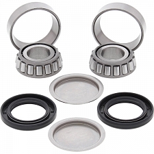 WRP 28-1055 Swing Arm Bearing Kit
