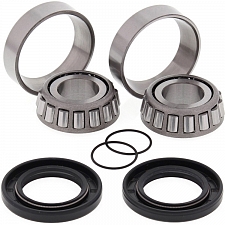 WRP 28-1058 Swing Arm Bearing Kit