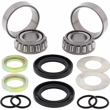 WRP 28-1059 Swing Arm Bearing Kit