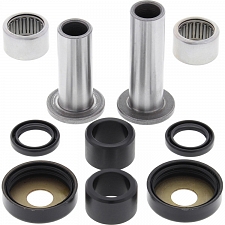 WRP 28-1060 Swing Arm Bearing Kit