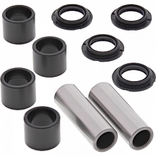 WRP 28-1208 Swing Arm Bearing Kit