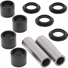 WRP 28-1209 Swing Arm Bearing Kit