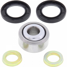 WRP 29-5004 Shock Bearing Kit