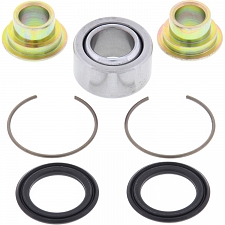 WRP 29-5013 Shock Bearing Kit