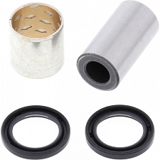 WRP 29-5017 Shock Bearing Kit