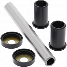 WRP 50-1011 Swing Arm Bearing Kit