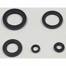 TourMax OSL-216 Engine Oil Seal Kit