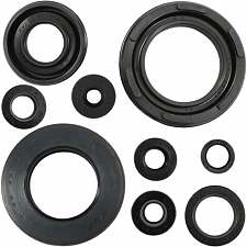Engine Oil Seal Kit - 007897