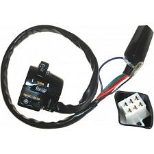Handlebar Lights, Indicator, Horn & Pass Switch (L/H)