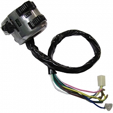 Handlebar Lights, Indicator, Horn & On-Off Switch (L/H)