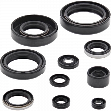 WRP 822101 Oil Seal Kit