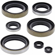 WRP 822102 Oil Seal Kit