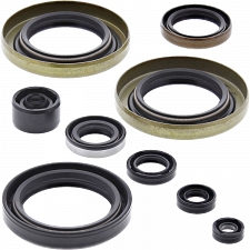 WRP 822104 Oil Seal Kit