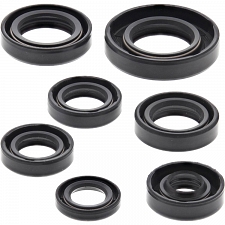 WRP 822105 Oil Seal Kit