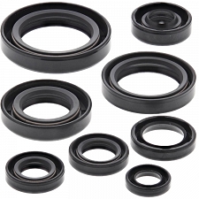 WRP 822106 Oil Seal Kit