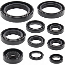 WRP 822107 Oil Seal Kit