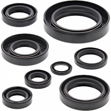 WRP 822108 Oil Seal Kit