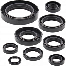 WRP 822109 Oil Seal Kit