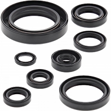 WRP 822110 Oil Seal Kit
