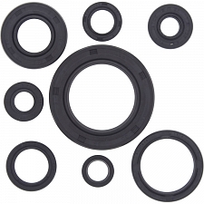 WRP 822111 Oil Seal Kit