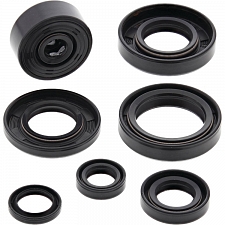 WRP 822112 Oil Seal Kit