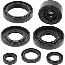 WRP 822113 Oil Seal Kit