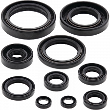 WRP 822114 Oil Seal Kit