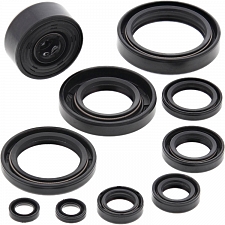 WRP 822115 Oil Seal Kit
