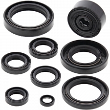 WRP 822116 Oil Seal Kit