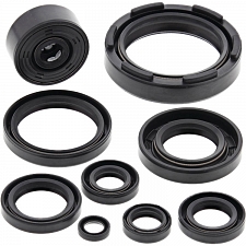 WRP 822117 Oil Seal Kit