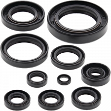 WRP 822118 Oil Seal Kit