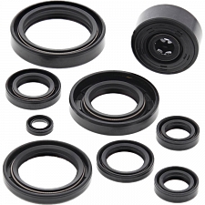 WRP 822119 Oil Seal Kit