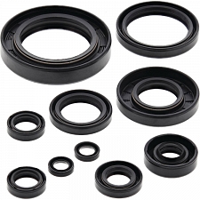 WRP 822122 Oil Seal Kit