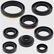 WRP 822123 Oil Seal Kit