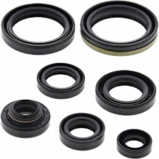 WRP 822124 Oil Seal Kit